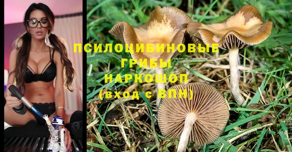 мяу мяу мука Балахна