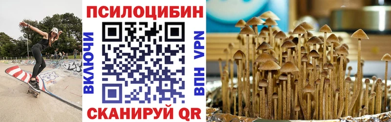 купить наркотик Туапсе Галлюциногенные грибы Magic Shrooms